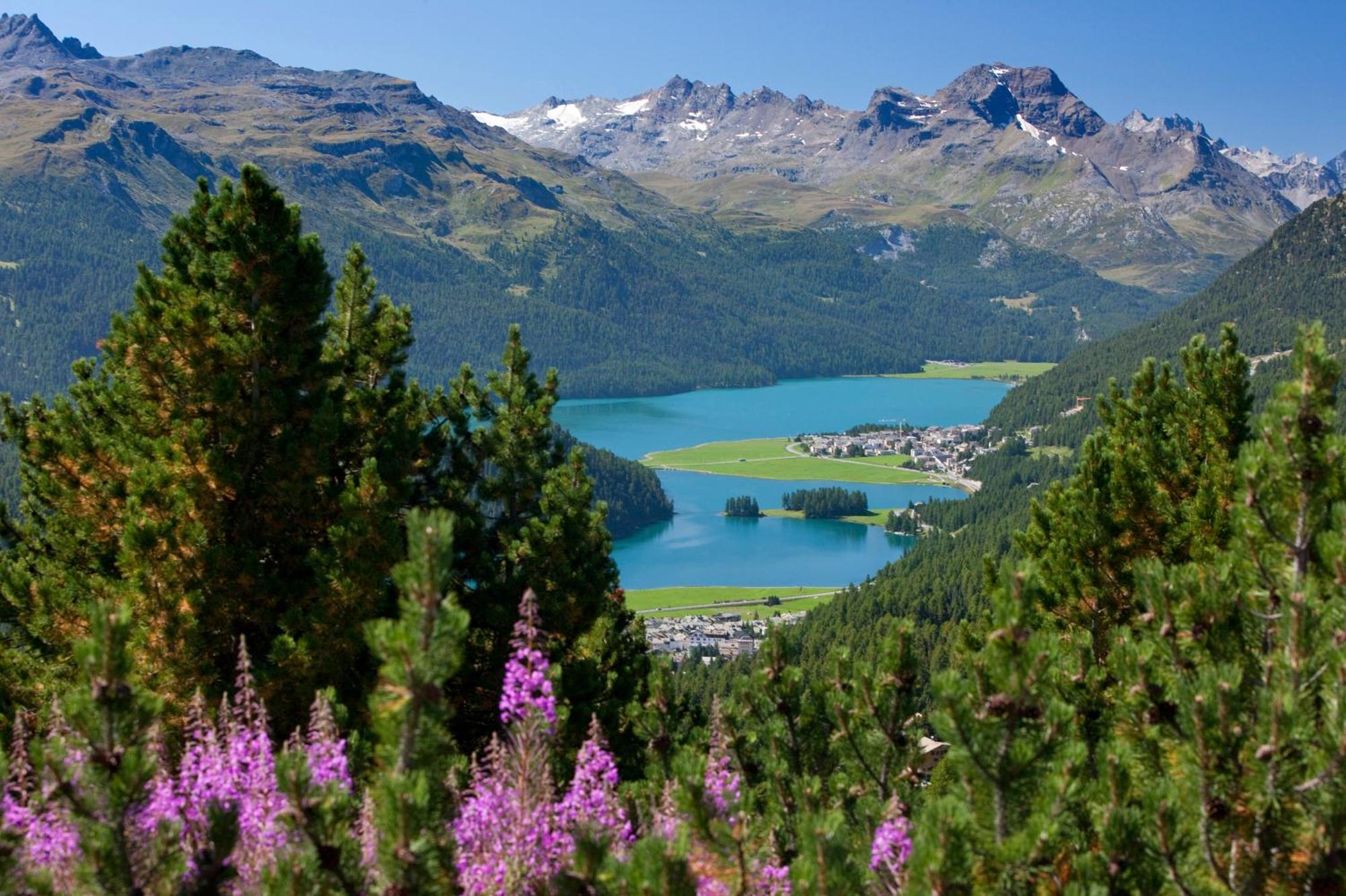 Hotel Schweizerhof Sils Maria, A Faern Collection Hotel Buitenkant foto